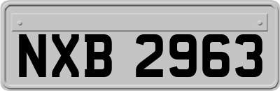 NXB2963
