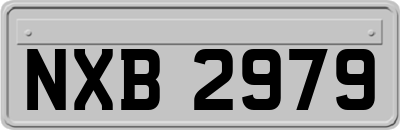 NXB2979