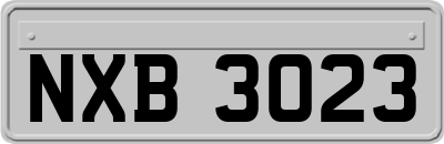 NXB3023
