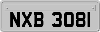 NXB3081