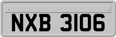 NXB3106
