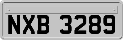 NXB3289