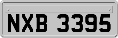 NXB3395
