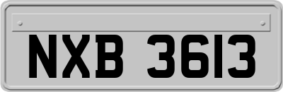 NXB3613