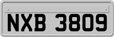 NXB3809
