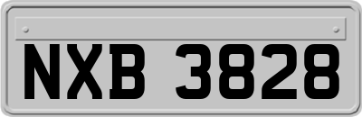 NXB3828