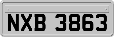NXB3863