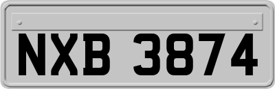 NXB3874