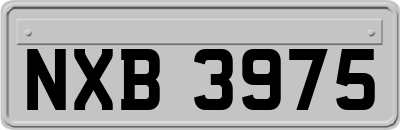 NXB3975