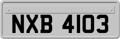 NXB4103