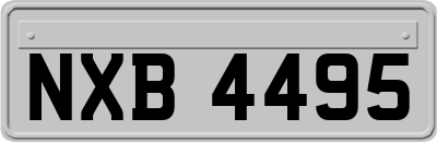 NXB4495