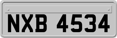 NXB4534