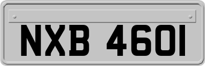 NXB4601