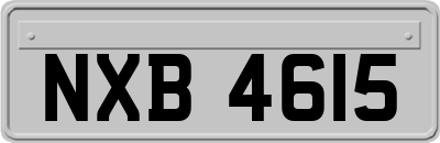 NXB4615