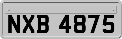 NXB4875
