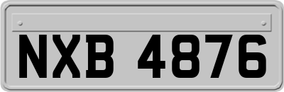 NXB4876