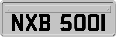 NXB5001