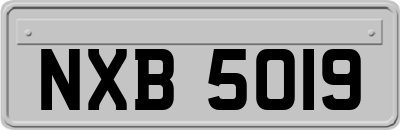 NXB5019