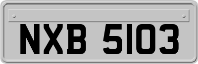 NXB5103