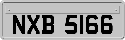 NXB5166