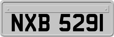 NXB5291
