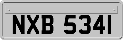 NXB5341