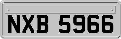 NXB5966