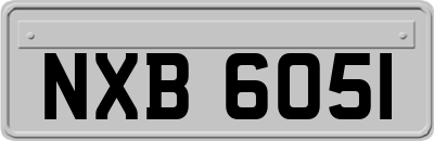 NXB6051
