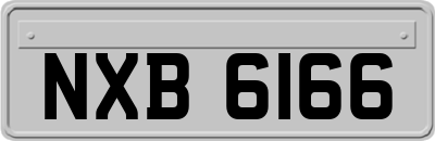 NXB6166