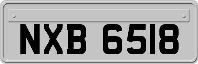 NXB6518