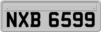 NXB6599