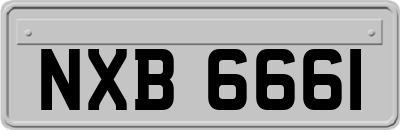 NXB6661