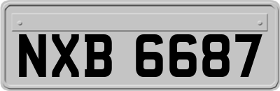 NXB6687