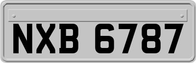 NXB6787