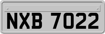 NXB7022