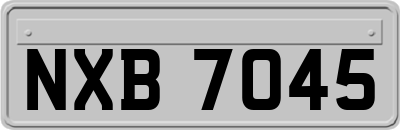 NXB7045