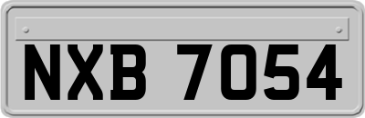 NXB7054