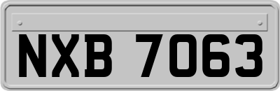 NXB7063