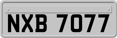 NXB7077