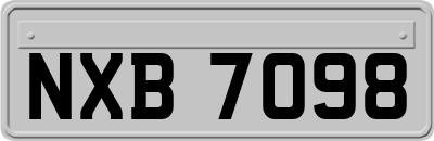 NXB7098