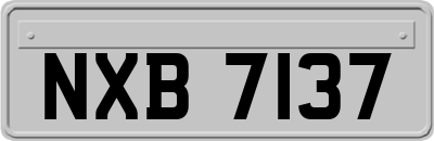 NXB7137