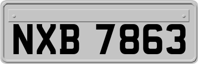 NXB7863