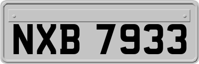 NXB7933