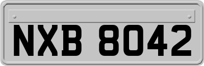 NXB8042