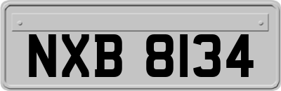 NXB8134