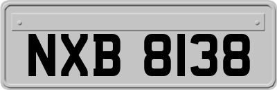 NXB8138