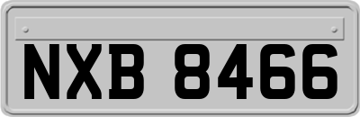 NXB8466