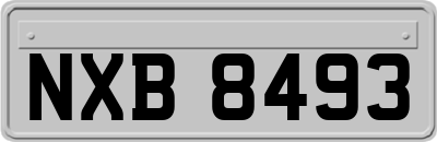 NXB8493