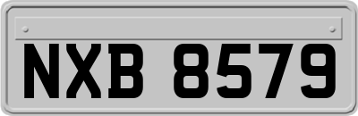 NXB8579