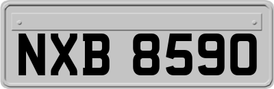 NXB8590